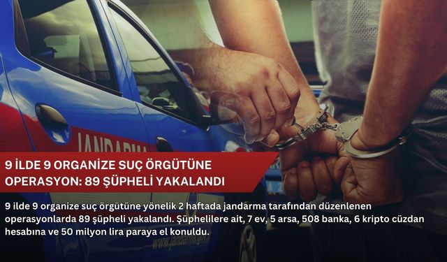 9 ilde 9 organize suç örgütüne operasyon: 89 şüpheli yakalandı