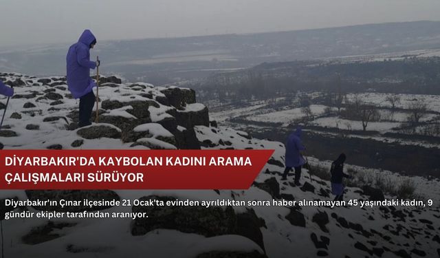 Diyarbakır'da kaybolan kadını arama çalışmaları sürüyor