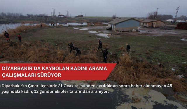 Diyarbakır'da kaybolan kadını arama çalışmaları sürüyor