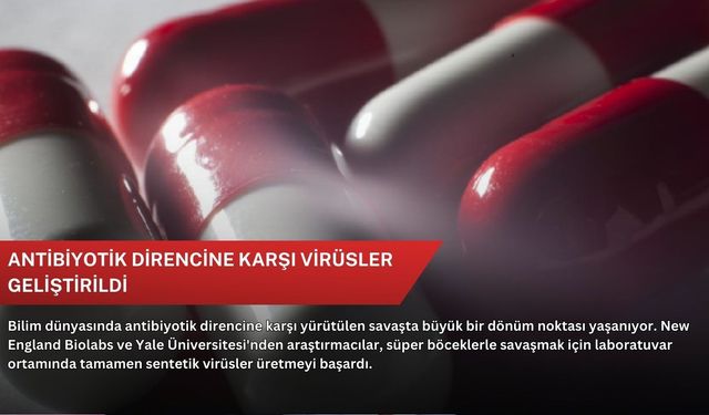 Antibiyotik direncine karşı virüsler geliştirildi