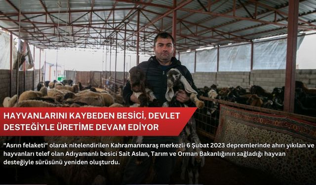 Hayvanlarını kaybeden besici, devlet desteğiyle üretime devam ediyor