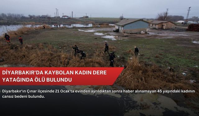 Diyarbakır'da kaybolan kadın dere yatağında ölü bulundu