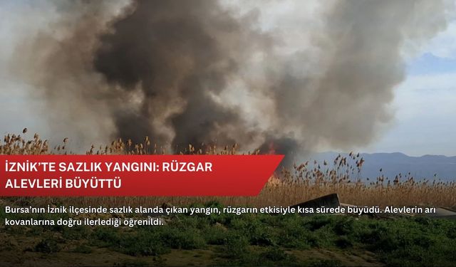 İznik’te sazlık yangını: Rüzgar alevleri büyüttü