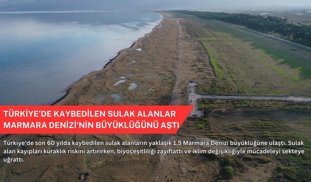 Türkiye’de kaybedilen sulak alanlar Marmara Denizi'nin büyüklüğünü aştı