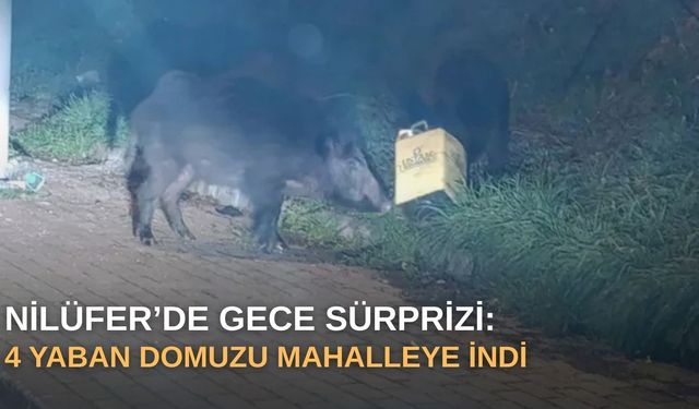 33 yıl hapis cezalı firari “Üç Zil” parolasıyla yakalandı