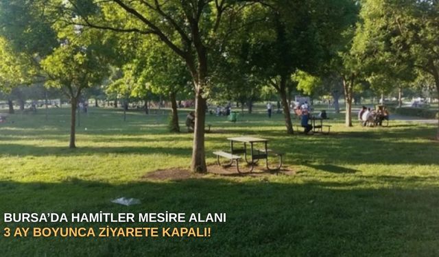 Bursa’da Hamitler Mesire alanı 3 ay boyunca ziyarete kapalı!