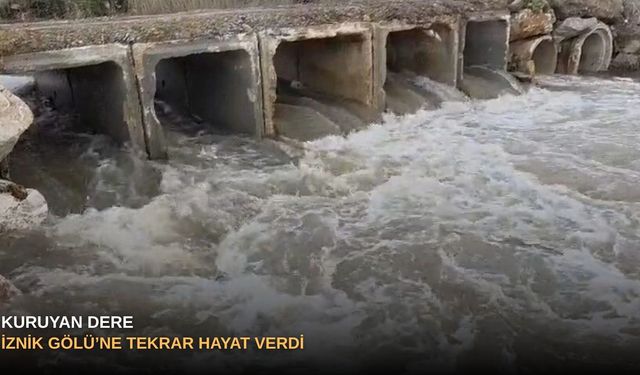 Kuruyan dere,İznik Gölü’ne tekrar hayat verdi!