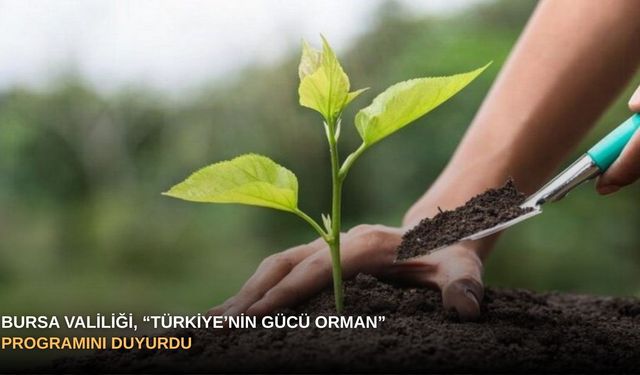 Bursa Valiliği, “Türkiye’nin Gücü Orman” programını duyurdu