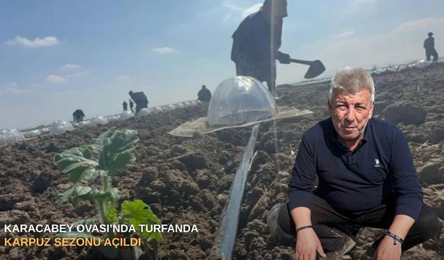 Karacabey Ovası’nda Turfanda karpuz sezonu açıldı