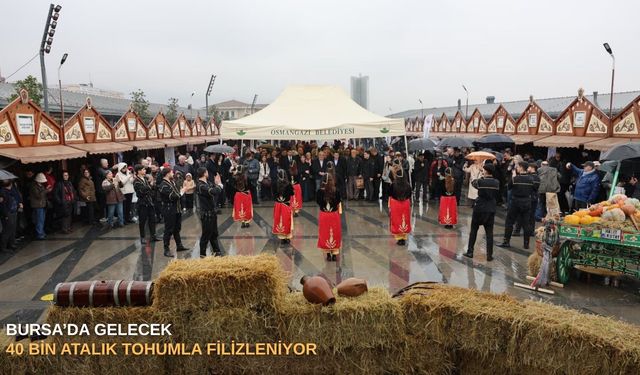 Bursa’da gelecek 40 bin atalık tohumla filizleniyor