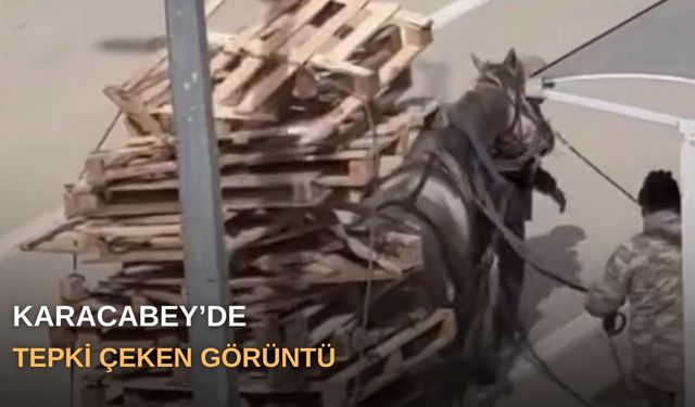 Karacabey’de tepki çeken görüntü