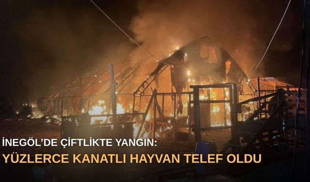 İnegöl’de çiftlikte yangın: Yüzlerce kanatlı hayvan telef oldu