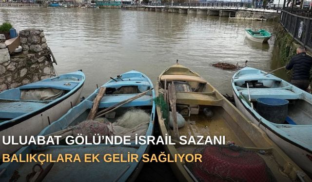 Uluabat Gölü’nde İsrail Sazanı balıkçılara ek gelir sağlıyor