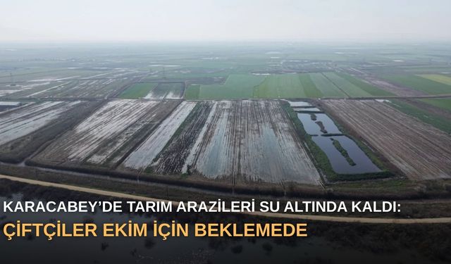 Karacabey’de tarım arazileri su altında kaldı: Çiftçiler Ekim için beklemede
