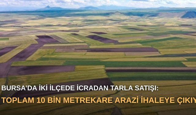 Bursa’da iki ilçede icradan tarla satışı: Toplam 10 bin metrekare arazi ihaleye çıkıyor