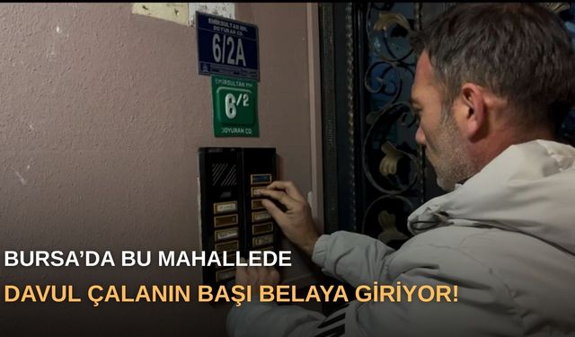Bursa’da bu mahallede davul çalanın başı belaya giriyor!