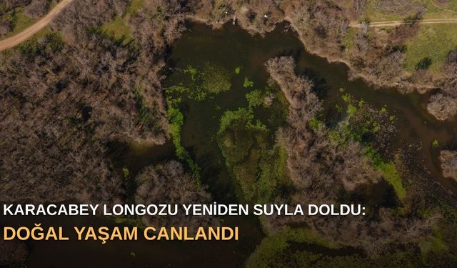 Karacabey Longozu yeniden suyla doldu: Doğal yaşam canlandı