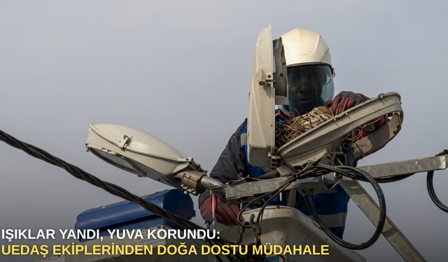 Işıklar yandı, yuva korundu: UEDAŞ ekiplerinden doğa dostu müdahale