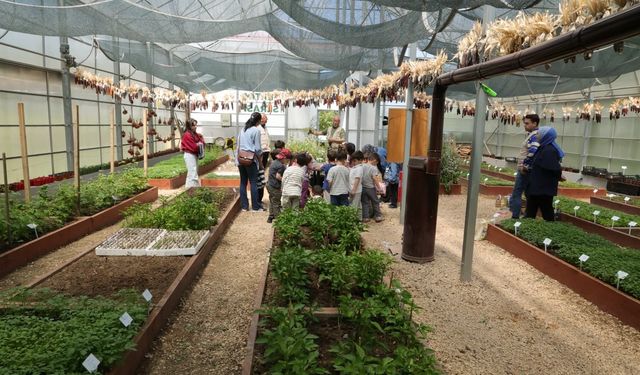 Bursa’da çocuklar iş başında: Tohumlar toprakla buluştu