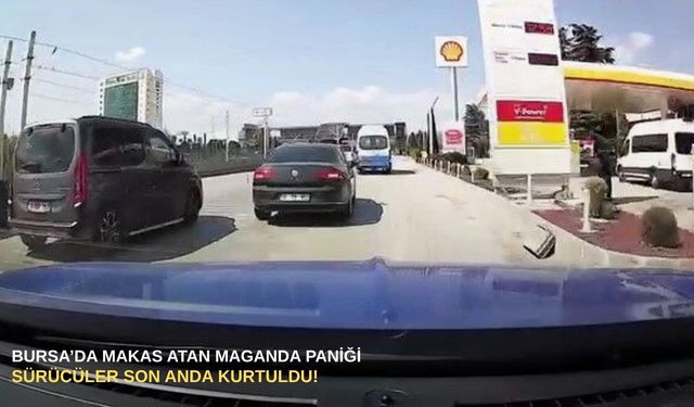 Bursa’da makas atan maganda paniği: Sürücüler son anda kurtuldu!