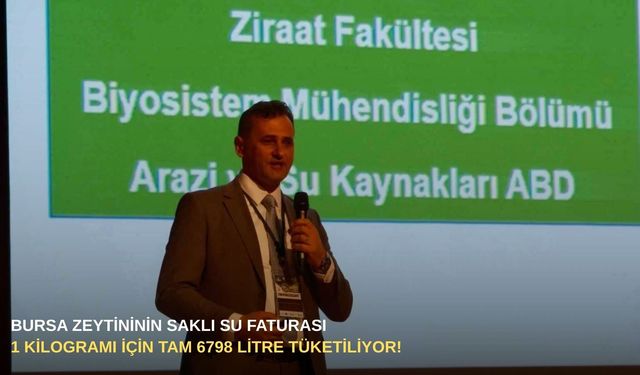 Bursa zeytininin saklı su faturası: 1 kilogramı için tam 6798 litre tüketiliyor!