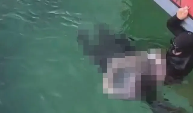 Bursa’da sır dolu ölüm: Eski astsubay sahilde ölü bulundu!