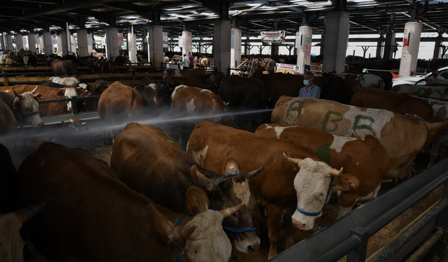 Bursa kurban pazarında maliyet krizi