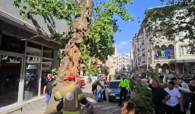 Bursa’da yol kenarındaki ağaç can alıyordu! Feci olayda sürücü ağır yaralı!