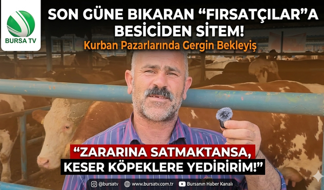 Kurban Pazarında "Fırsatçı" Gerilimi: "Son Güne Bırakmayın"