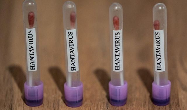 Hantavirüs Türkiye’de görüldü mü? İşte vaka sayısında son durum!