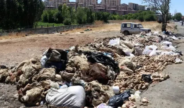 BUSKİ’den Bursa’ya kurban atıklarıyla ilgili kritik uyarı!