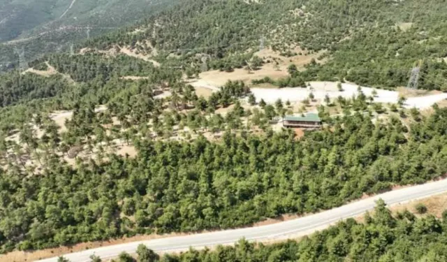Bursa’nın yeni mesire alanı Kule Orman Park açılıyor!