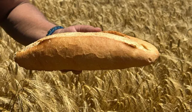 Bursa’da ekmek fiyatları konusunda çiftçiden sert çıkış!