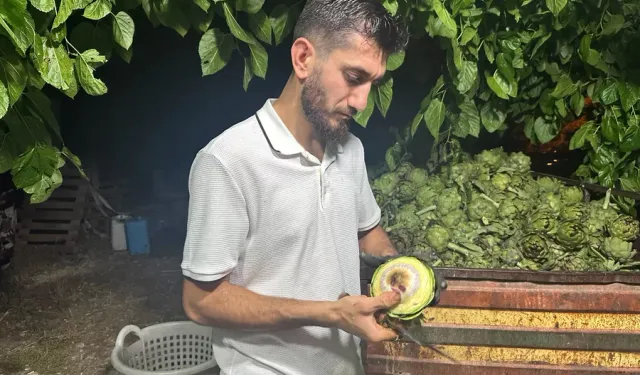 Bursa’nın mutfaklarında duyulmamış meslek: Enginarın kaderi bu bıçaklara emanet!
