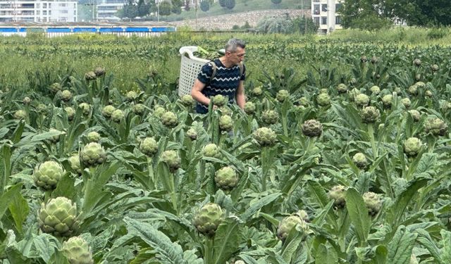 Bursa’nın meşhur tescilli ürünü yok oluyor!