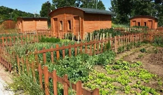 Hobi bahçesi olanlar dikkat: Meclis'ten yeni yaptırımlar resmiyet kazandı!