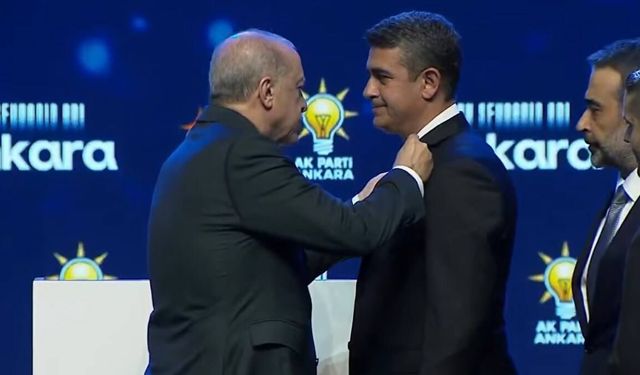 Siyaset