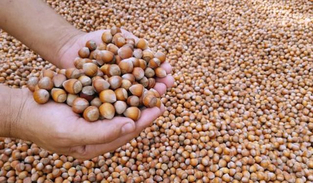 Bursa'da ezber bozan buluş! Çöpe atılan bu ürün servete dönüşecek