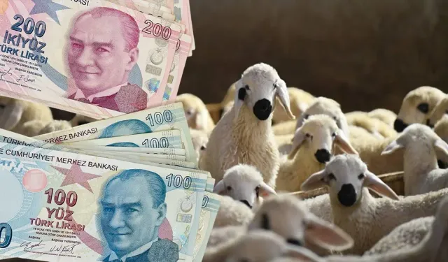 Bakan Yumaklı'dan dev müjde: Hayvancılığa 633 milyar TL'lik rekor destek!