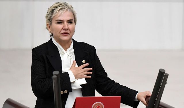 Siyaset