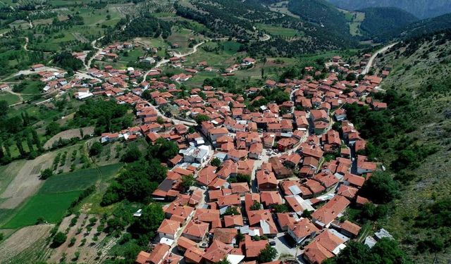 Mermer ocağı mücadelesinden marka zaferine! Bursa’nın Sorgun beyaz peyniri tescillendi