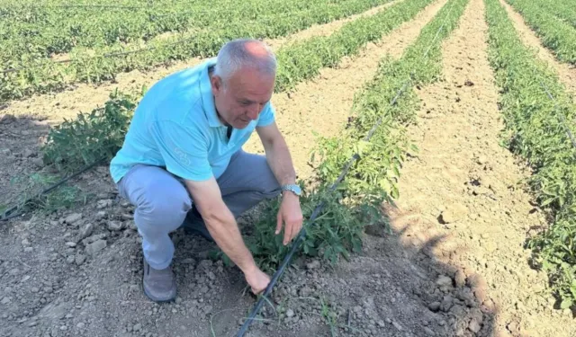 Bursa’da 20 milyon TL’lik mağduriyet! Üreticiden çiftçilere kritik uyarı