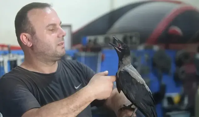 Bursa’da şaşırtan dostluk! Tamirhanenin yeni “ustası” herkesi hayrete düşürdü