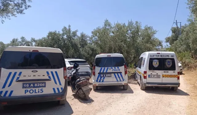 Bursa’da zeytin tarlasında şüpheli ölüm!