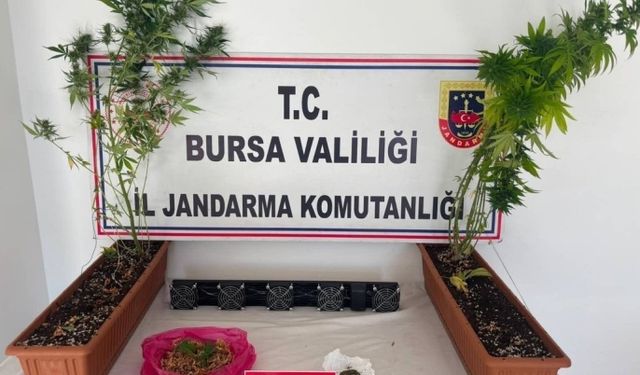 Bursa'da jandarmadan narkotik operasyonu