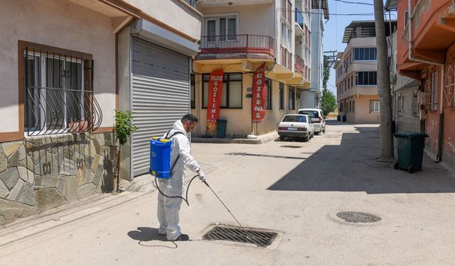 Bursa’da o mahallede haşere alarmı! Belediye ekipleri düğmeye bastı