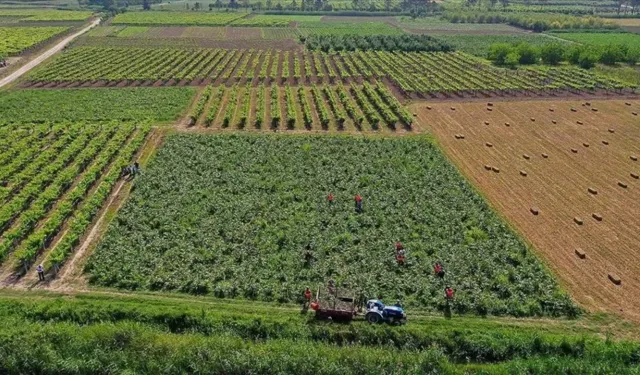 Bursa’da çiftçiye nefes aldıran sistem! Ürününü ekmeden fiyatını öğreniyor