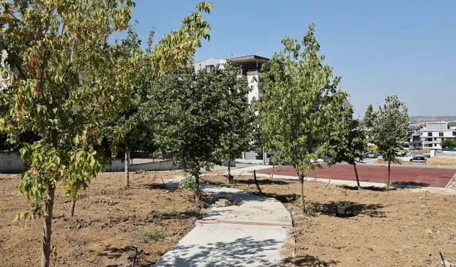 Bursa’da yeşil alan atağı! 7 mahalleye 24 bin metrekarelik yeni yaşam alanı geliyor