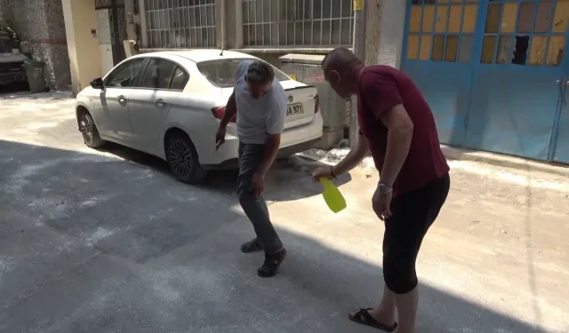 Bursa’da pire istilası! Mahalleli bu yöntemlere başvuruyor