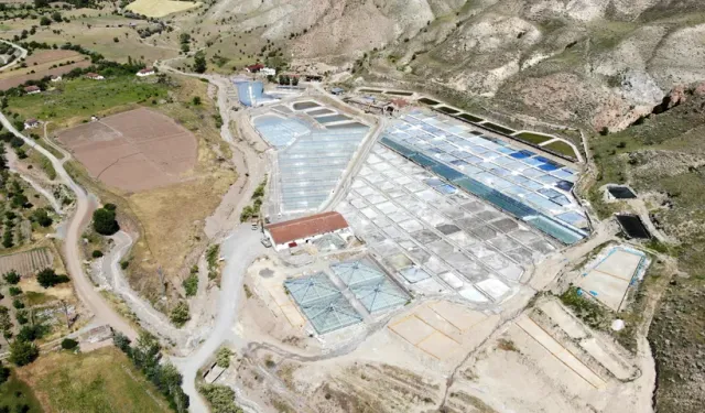 Bursa’ya geliyor! 3 bin yıllık yöntemle üretilen tuzun şaşırtan yolculuğu